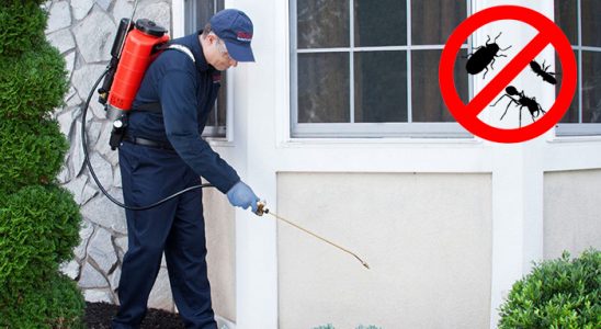 Hatay Böcek İlaçlama böcek ilaçlama ve haşere kontrolü — ilaclama-tr.com